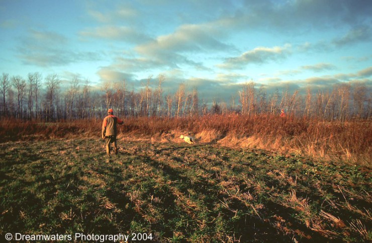 Copy Don Craig Hedgerow Roo Full Blast copy.jpg